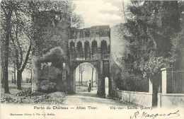 Fev14 673: Vic-sur-Seille  -  Porte Du Château - Vic Sur Seille