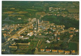 Cpsm: 79 CELLES SUR BELLE (ar. Niort) Vue Aérienne 1986 N° 102 - Celles-sur-Belle