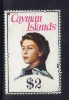 AP306 - CAYMAN , Elisabetta Il 2 Dollari Nuovo ***  MNH . - Caimán (Islas)