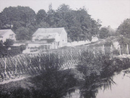 CPA Saint Cyr Du  Vaudreuil Commune Française,département De L'Eure En Région Haute-Normandie -L' île De Robinson - Le Vaudreuil