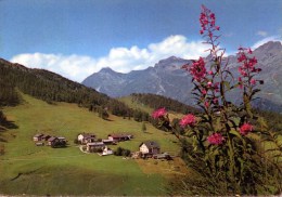 Fex - Crasta Bei Sils Im Oberengadin - Sils Im Engadin/Segl