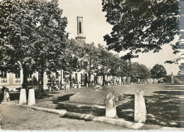 Muttenz - Freidorf, Spielplatz Mit Gedenkstein            1948 - Muttenz