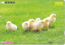 Télécarte Japonaise. Animaux. Poussins - Galline & Gallinaceo