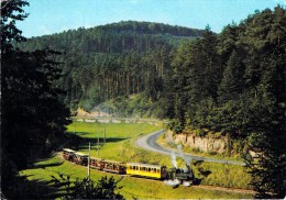 [57560] Moselle > ABRESCHVILLER (Canton Lorquin) Le Petit Chemin De Fer Forestier (train Locomotive)*PRIX FIXE - Lorquin