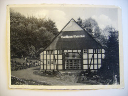 Germany: Waldheim Waterbör, Spiegelsberge Bei Brackwede-Bielsfeld - Old Postcard Unused Big Format - Bielefeld
