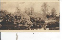 ALEXANDRIA: In The Nuzha Garden - Alexandrie