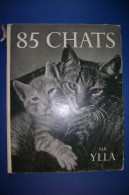 PFT/30 Ylla 85 CHATS Guilde Du Livre Lausanne Anni '50 /GATTI FOTOGRAFIE IN NERO - Pets