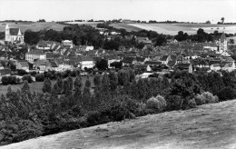 61-LONGNY AU PERCHE...PANORAMA....CPSM PETIT FORMAT - Longny Au Perche