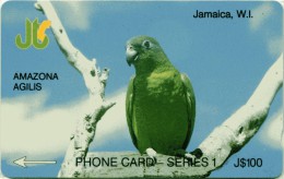 JAMAICA-13D-AMAZON AGILIS - Giamaica