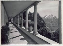 Bürgenstock - Hotels - 900  M - Blick  Gegen  Pilatus - 1956 - Sonstige & Ohne Zuordnung