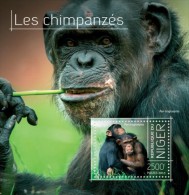 Niger. 2013 Chimpanzees. (703b) - Chimpanzees