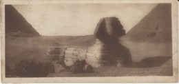 Sphinx And Pyramids, Cairo Postcard Trust #3, C1910s/20s(?) Vintage Postcard - Sphinx