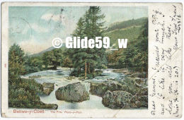 Bettws-y-Coed - The Firs. Pont-y-Pair - N° 282 - Caernarvonshire