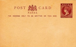 A27 - Natal Old Mint Postcard Postal Stationery - Natal (1857-1909)