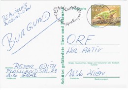 Austria Osterreich 1990 Frog Repriles Fauna, Graz - Postcards