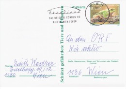 Austria Osterreich 1990 Frog Repriles Fauna, Wien - Postcards