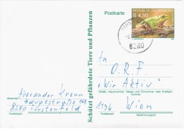 Austria Osterreich 1990 Frog Repriles Fauna, Furstenfeld - Tarjetas