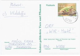 Austria Osterreich 1990 Frog Repriles Fauna, Mayrhofen - Postcards