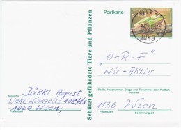 Austria Osterreich 1990 Frog Repriles Fauna, Wien - Postkarten