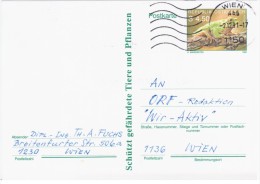 Austria Osterreich 1990 Frog Repriles Fauna, Wien - Cartes Postales