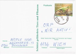 Austria Osterreich 1990 Frog Repriles Fauna, Poysdorf - Postcards