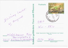 Austria Osterreich 1990 Frog Repriles Fauna, Aschbach - Tarjetas