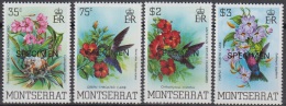 Specimen, Montserrat Sc497-500 Birds, Hummingbird - Segler & Kolibris