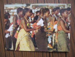 Togo     Danse Folklorique - Togo