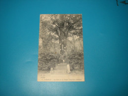 Cpa VIROFLAY Le Chêne De La Vierge   Sous Bois Artistique  1916 - Viroflay