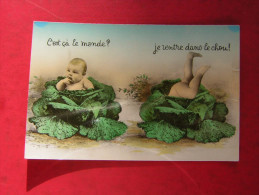 CPSM PHOTO  BEBE QUI SORT D'UN CHOU    C'EST CA LE MONDE ?  JE RENTRE DANS LE CHOU      NON VOYAGEE - Humorous Cards