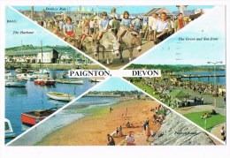 18413 Paignton  Devon - Paignton