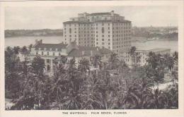 Florida Palm Beach The Whitehall Albertype - Palm Beach