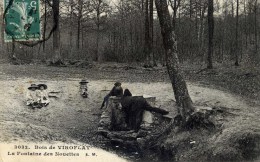 78 - VIROFLAY - Bois De Viroflay - La Fontaine Des Nouettes - Animée - Viroflay