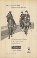 # LAVANDA COLDINAVA NIGGI IMPERIA 1950s Advert Pubblicità Publicitè Reklame Perfume Parfum Profumo Horse - Non Classés