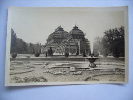 Austria: Wien - Schönbrunn - Palmenhaus - 1913 Unused - Castello Di Schönbrunn