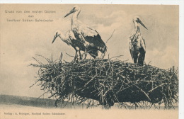 ALLEMAGNE - Gruss Von Den Ersten Gästen Aus SOOLBAD SODEN - SALMÜNSTER (cigognes ) - Bad Soden