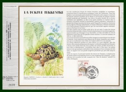 CEF 1057 FRANCE 1991 TORTUE - Turtles
