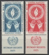 ONU New York 1953 - Diritti Umani - Con Appendice **      (g4550) - Unused Stamps