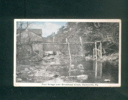 USA - Pennsylvania - Foot Bridge Aver Broadhead Creek - Henryville - Other & Unclassified