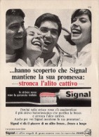 # TOOTHPASTE GIBBS SIGNAL ITALY 1950s Advert Pubblicità Publicitè Reklame Dentifricio Zahnpaste Oral Dental Healthcare - Matériel Médical & Dentaire