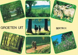 18516 Groeten Uit Bertrix - Bertrix