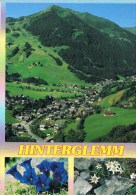 18528 Inmitten Der Kitzbuheler Alpen - Hinterglemm - Saalbach