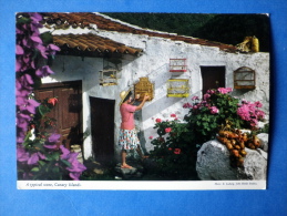 A Typical Scene - Canary Islands - House - Flowers - Bird Cage - Sent From Spain To Finland 1987 - Spain - Used - Autres & Non Classés