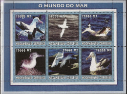 MOZAMBIQUE Marine Life Birds - Albatrosse & Sturmvögel