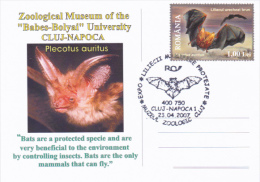 BATS, 2007, SPECIAL POSTCARD, CLUJ NAPOCA, ROMANIA - Chauve-souris