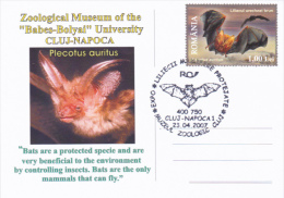 BATS, 2007, SPECIAL POSTCARD, CLUJ NAPOCA, ROMANIA - Bats