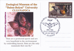 BATS, 2007, SPECIAL POSTCARD, CLUJ NAPOCA, ROMANIA - Fledermäuse