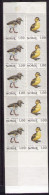 NORWAY Birds (booklet) - Libretti