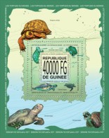 Guinea. 2013 Turtles. (501b) - Turtles
