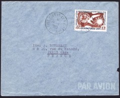 1960    Lettre Avion Pour La France   20 Fr Droits De L'homme Yv 358  Seul - Covers & Documents